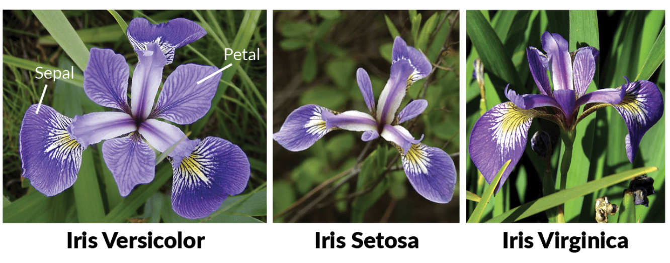 image-20260213220530106