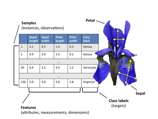 image-20260213220533640