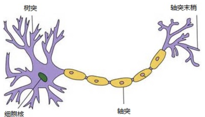 image-20260317213239925